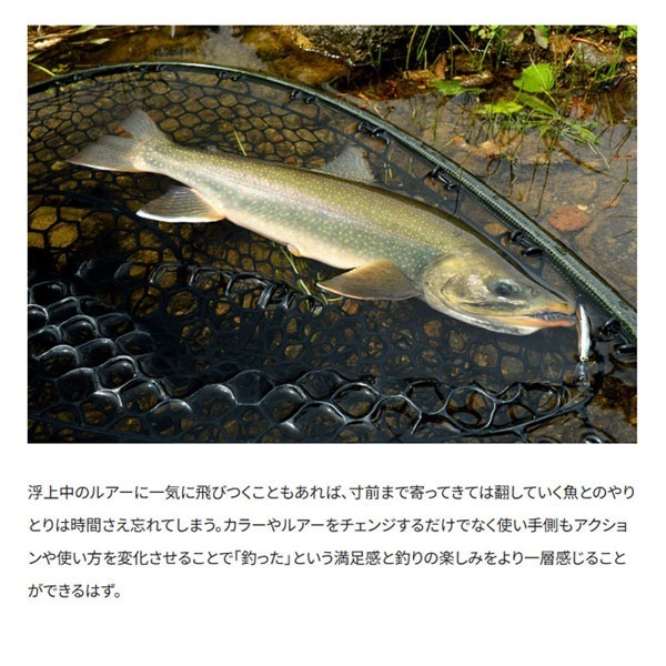CARDIFF ダイバライズ 55F